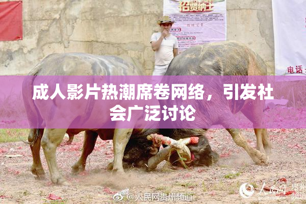 成人影片热潮席卷网络，引发社会广泛讨论