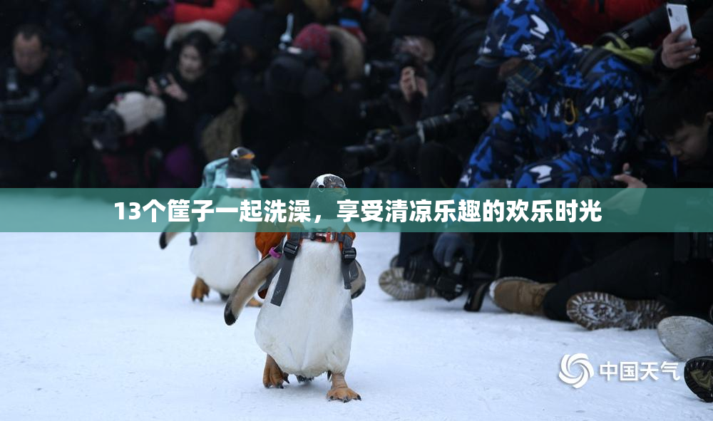 13个筐子一起洗澡，享受清凉乐趣的欢乐时光