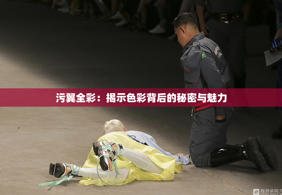 污翼全彩：揭示色彩背后的秘密与魅力