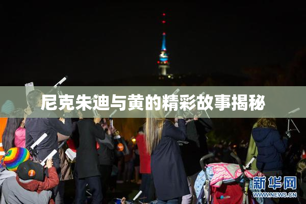 尼克朱迪与黄的精彩故事揭秘