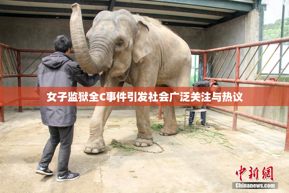 女子监狱全C事件引发社会广泛关注与热议