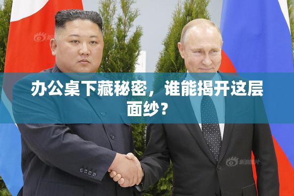 办公桌下藏秘密，谁能揭开这层面纱？