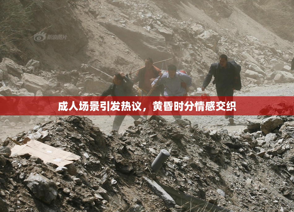 成人场景引发热议，黄昏时分情感交织