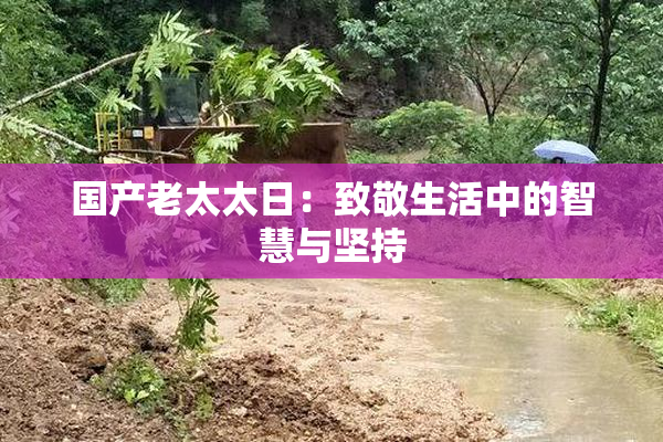 国产老太太日：致敬生活中的智慧与坚持