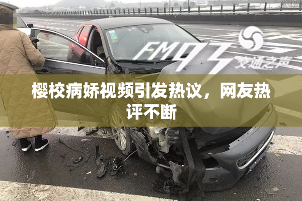 樱校病娇视频引发热议，网友热评不断