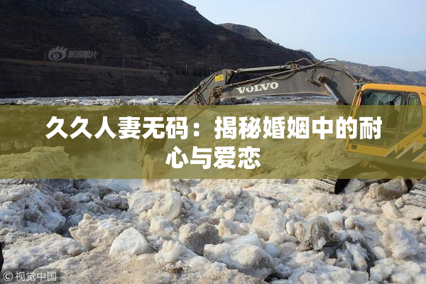 久久人妻无码：揭秘婚姻中的耐心与爱恋