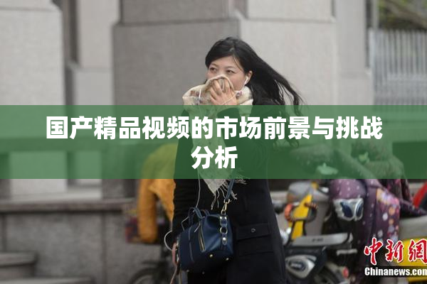 国产精品视频的市场前景与挑战分析