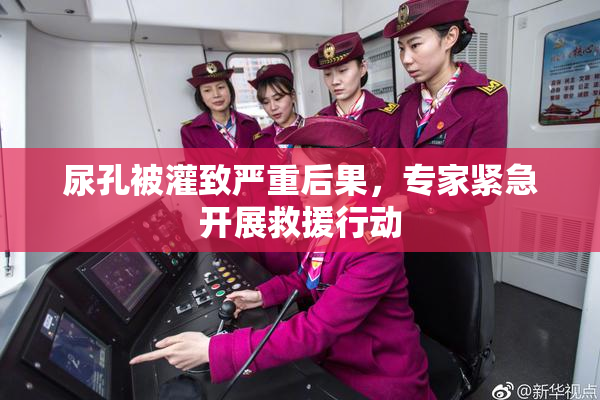 尿孔被灌致严重后果，专家紧急开展救援行动
