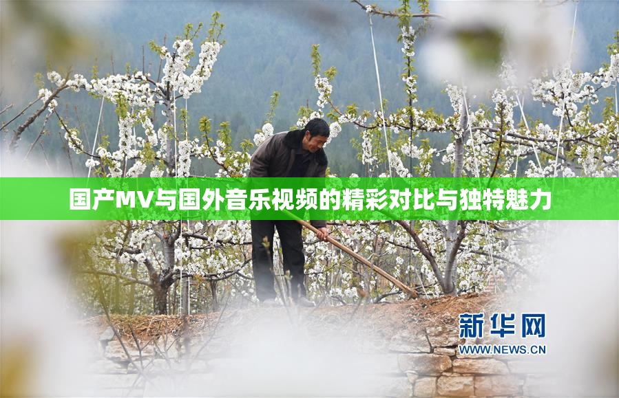 国产MV与国外音乐视频的精彩对比与独特魅力