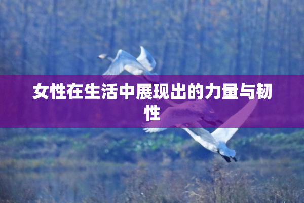 女性在生活中展现出的力量与韧性