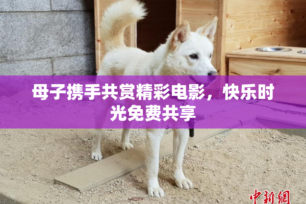 母子携手共赏精彩电影，快乐时光免费共享