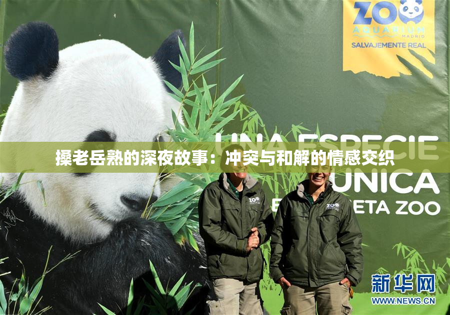 搡老岳熟的深夜故事：冲突与和解的情感交织