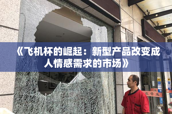 《飞机杯的崛起：新型产品改变成人情感需求的市场》