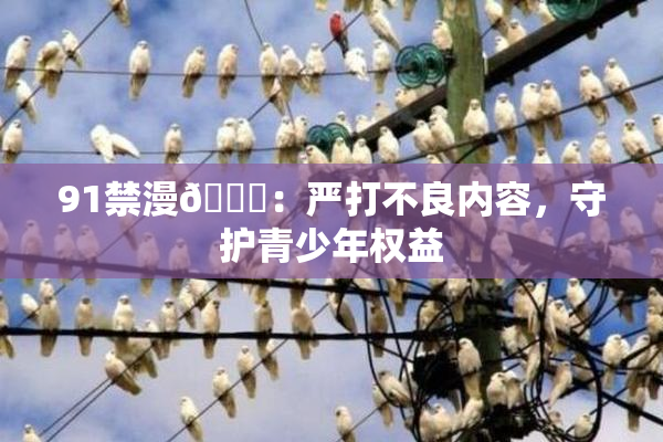 91禁漫🍆：严打不良内容，守护青少年权益