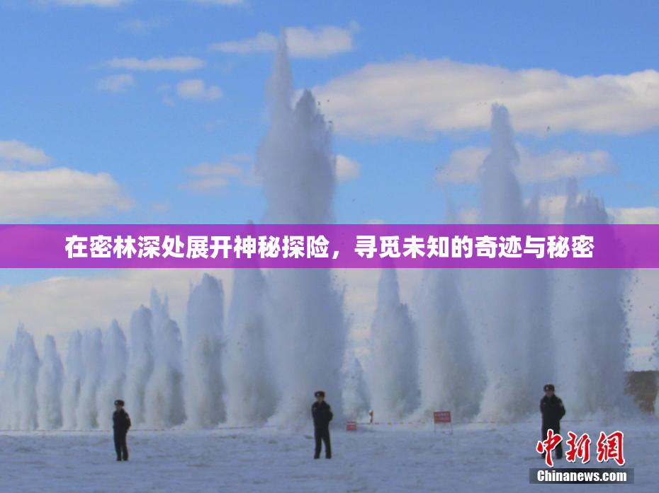 在密林深处展开神秘探险，寻觅未知的奇迹与秘密