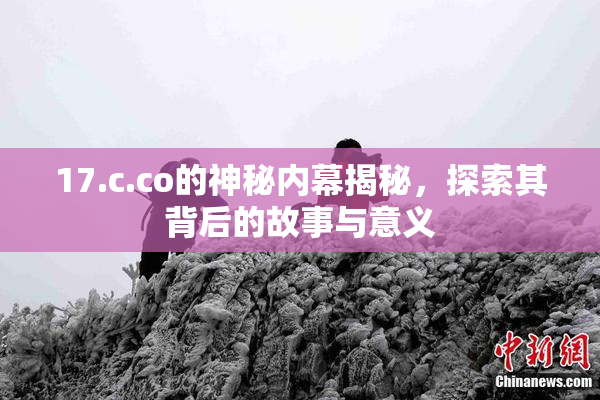 17.c.co的神秘内幕揭秘，探索其背后的故事与意义