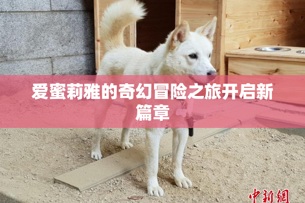 爱蜜莉雅的奇幻冒险之旅开启新篇章