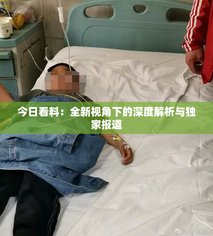 今日看料：全新视角下的深度解析与独家报道
