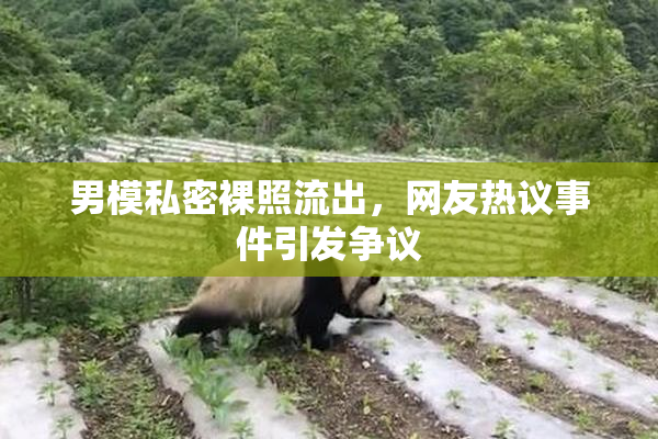 男模私密裸照流出，网友热议事件引发争议