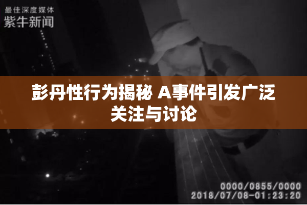 彭丹性行为揭秘 A事件引发广泛关注与讨论