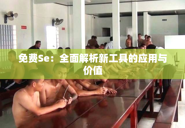 免费Se：全面解析新工具的应用与价值
