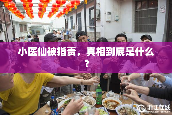 小医仙被指责，真相到底是什么？