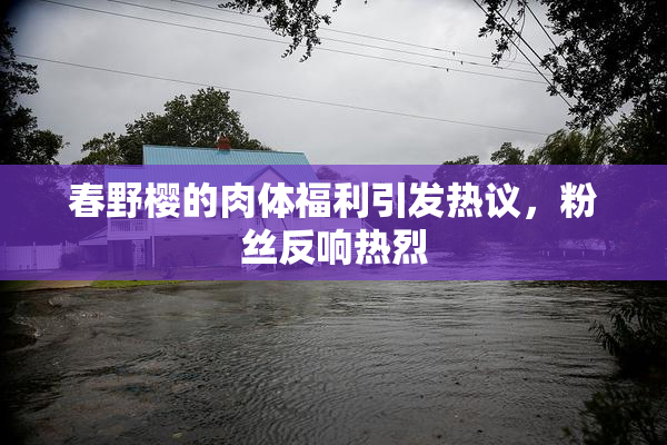 春野樱的肉体福利引发热议，粉丝反响热烈