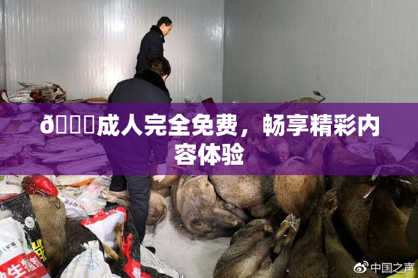 🔞成人完全免费，畅享精彩内容体验