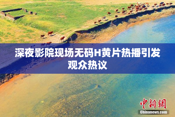 深夜影院现场无码H黄片热播引发观众热议
