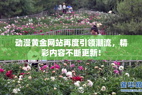 动漫黄金网站再度引领潮流，精彩内容不断更新！