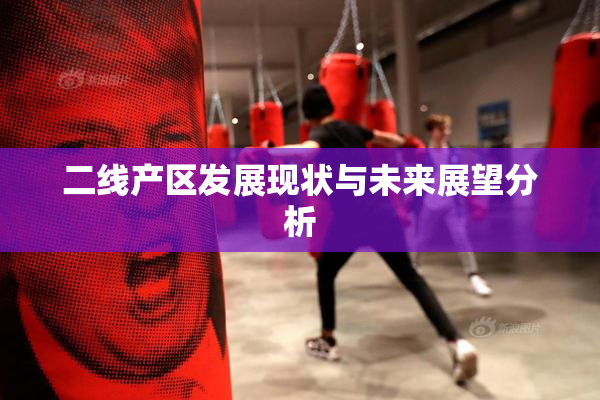 二线产区发展现状与未来展望分析
