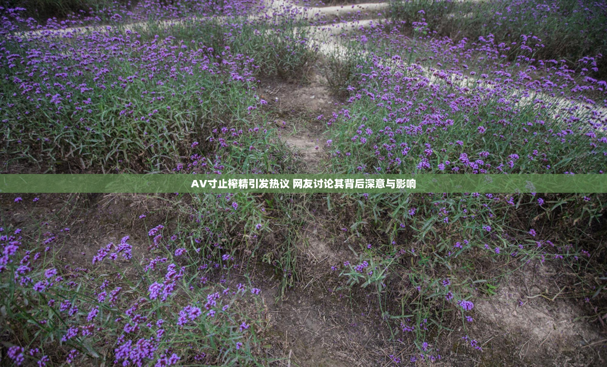 AV寸止榨精引发热议 网友讨论其背后深意与影响