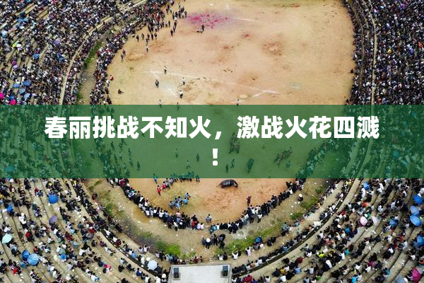 春丽挑战不知火，激战火花四溅！