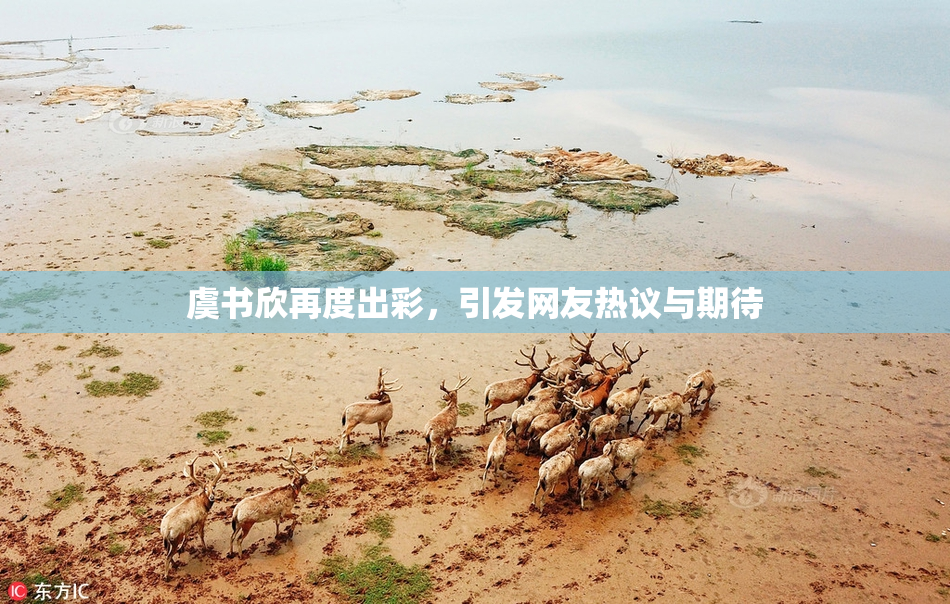 虞书欣再度出彩，引发网友热议与期待