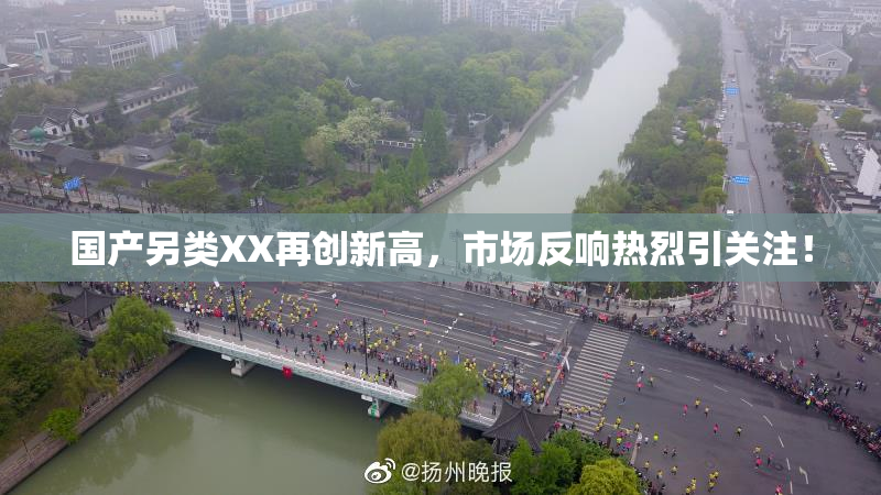 国产另类XX再创新高，市场反响热烈引关注！
