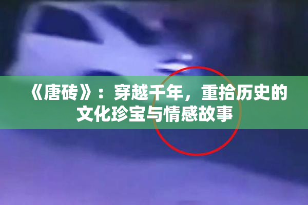 《唐砖》：穿越千年，重拾历史的文化珍宝与情感故事
