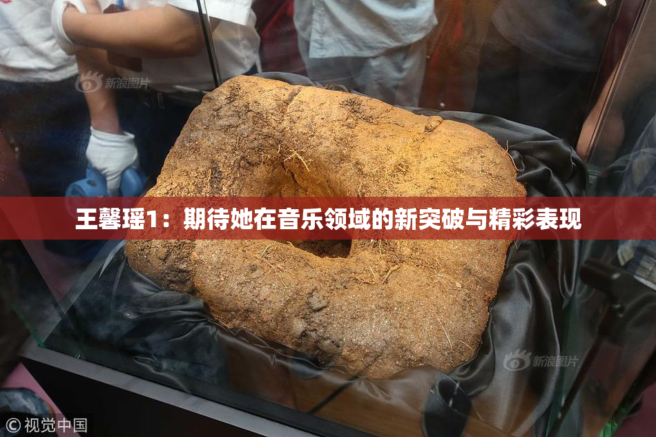 王馨瑶1：期待她在音乐领域的新突破与精彩表现