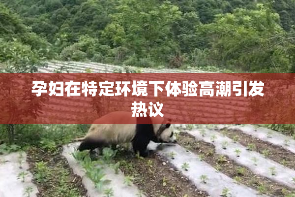 孕妇在特定环境下体验高潮引发热议