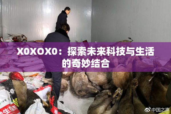 X0XOX0：探索未来科技与生活的奇妙结合