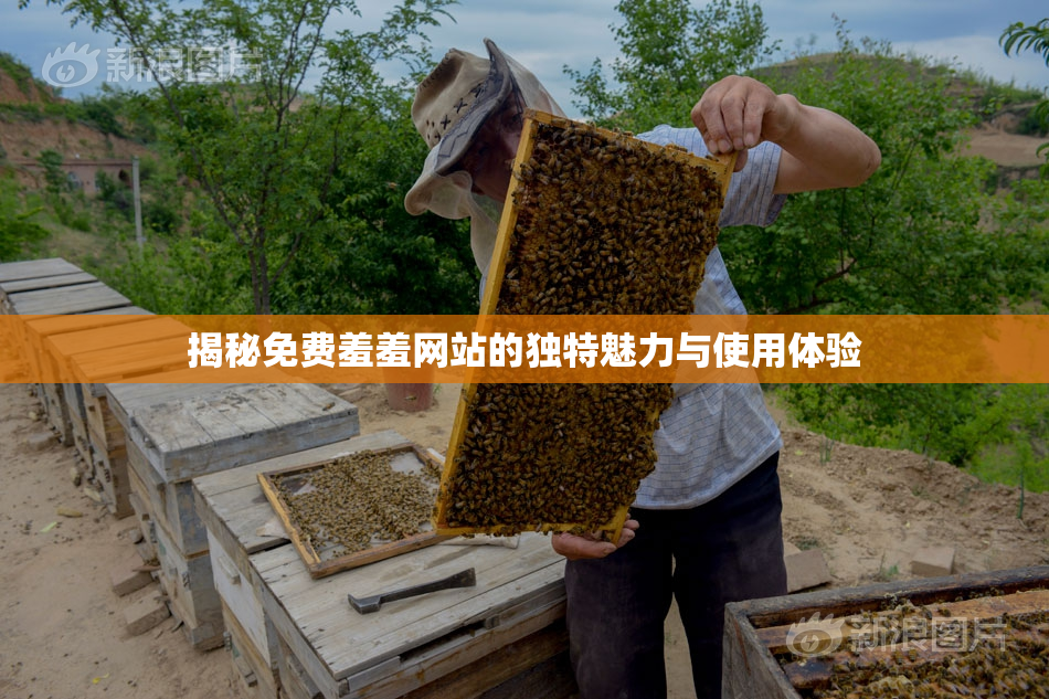 揭秘免费羞羞网站的独特魅力与使用体验