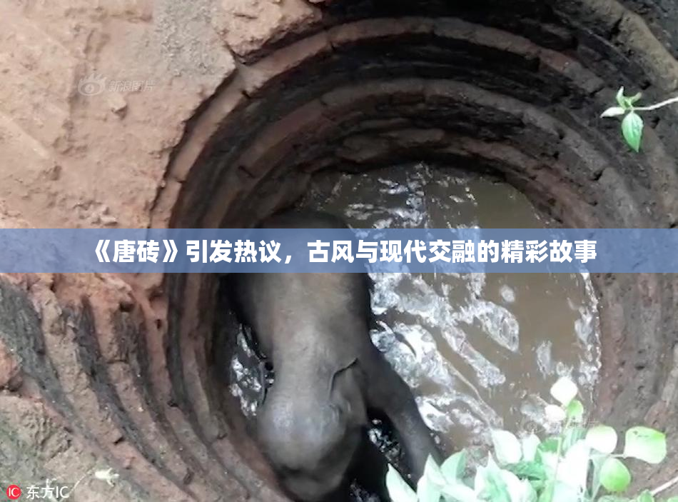 《唐砖》引发热议，古风与现代交融的精彩故事