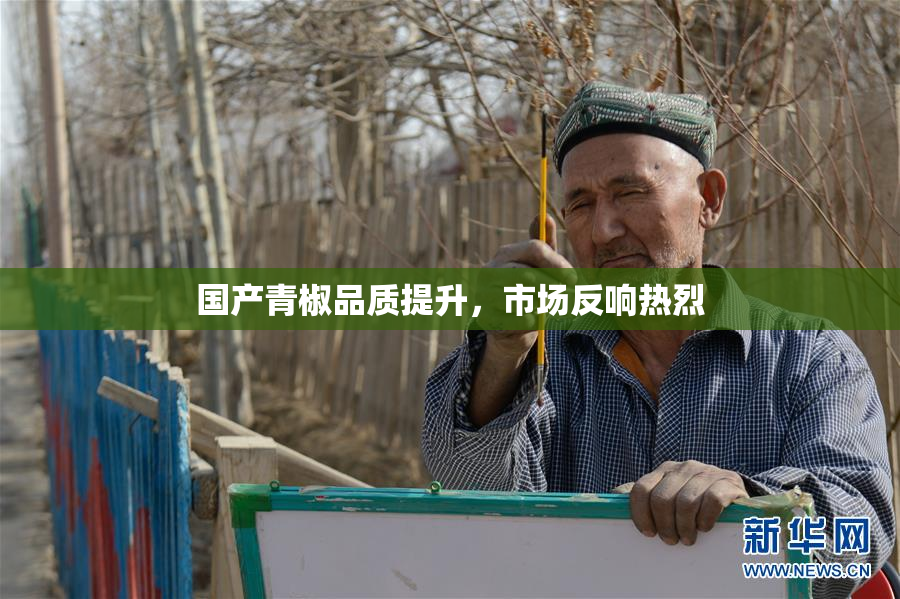 国产青椒品质提升，市场反响热烈