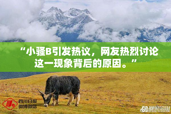 “小骚B引发热议，网友热烈讨论这一现象背后的原因。”