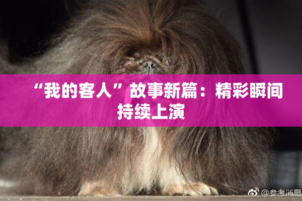 “我的客人”故事新篇：精彩瞬间持续上演