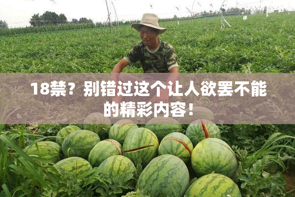 18禁？别错过这个让人欲罢不能的精彩内容！
