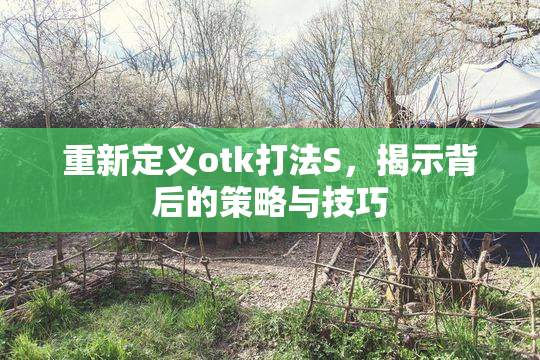 重新定义otk打法S，揭示背后的策略与技巧