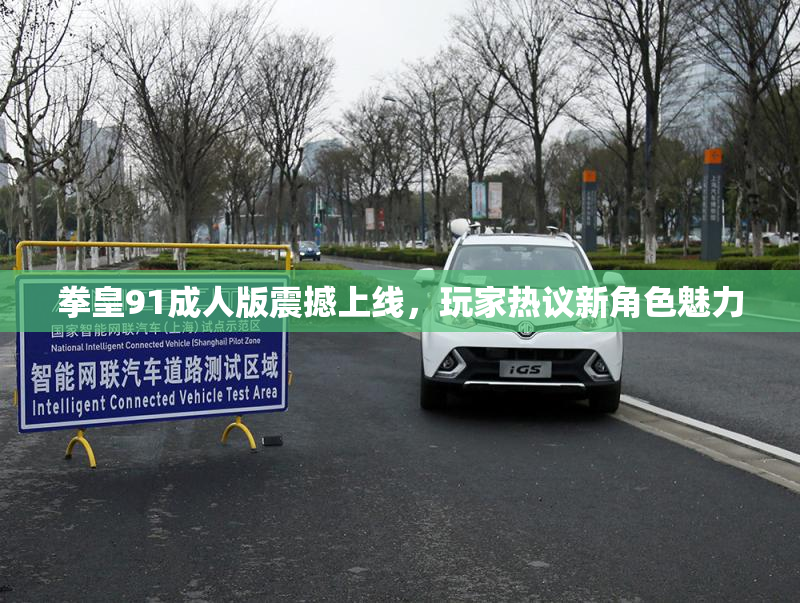 拳皇91成人版震撼上线，玩家热议新角色魅力
