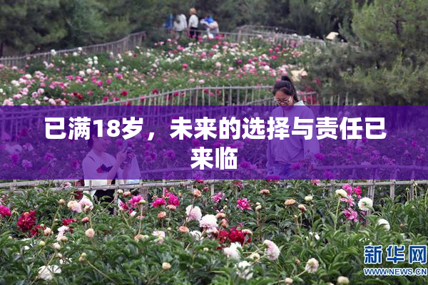 已满18岁，未来的选择与责任已来临