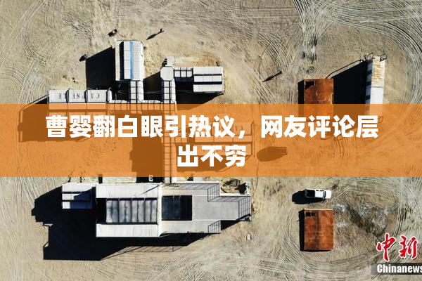 曹婴翻白眼引热议，网友评论层出不穷