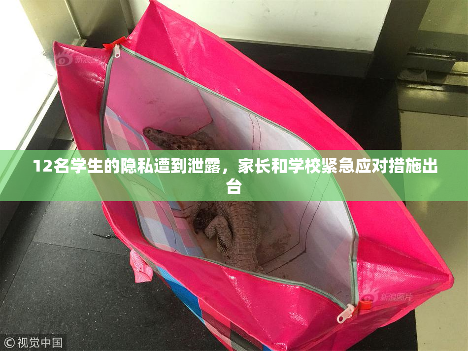 12名学生的隐私遭到泄露，家长和学校紧急应对措施出台